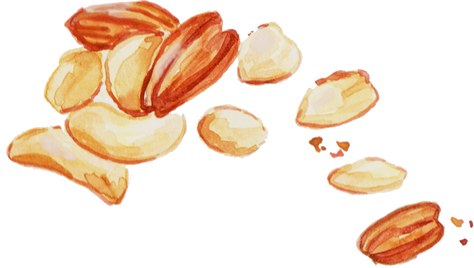 Handpainted Watercolor Mixed Nuts Christmas Snack